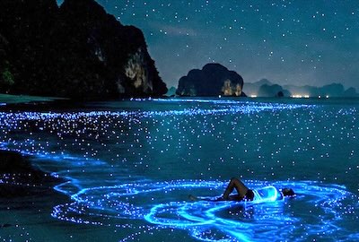 Blue plankton lighting up ocean in Ao Nang, Krabi.