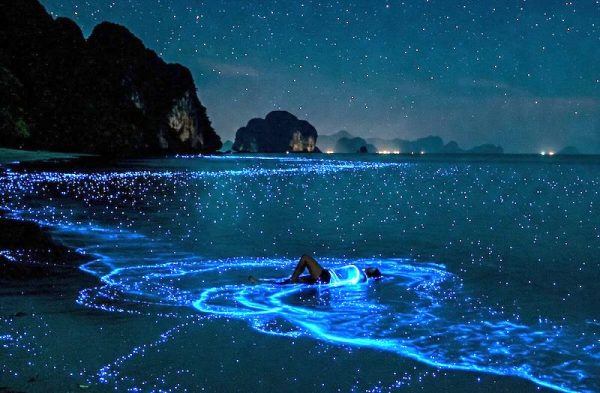 Krabi Bioluminescent Plankton glowing blue in the ocean at night. Perfect tour off Krabi beaches!
