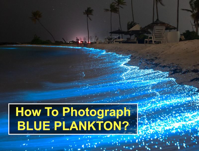 Blue plankton on the beach at night on a dark Krabi island.