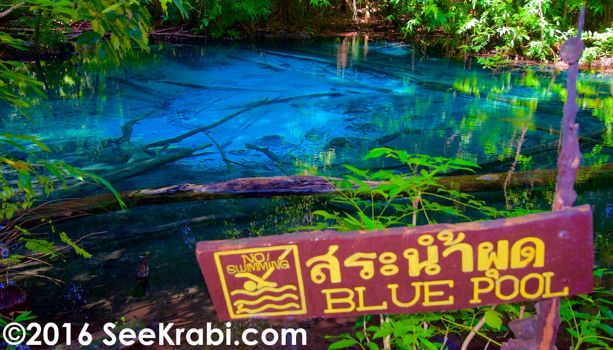 Emerald Pool has a Blue Pool and a green pool. These are very clean water spring-fed pools.