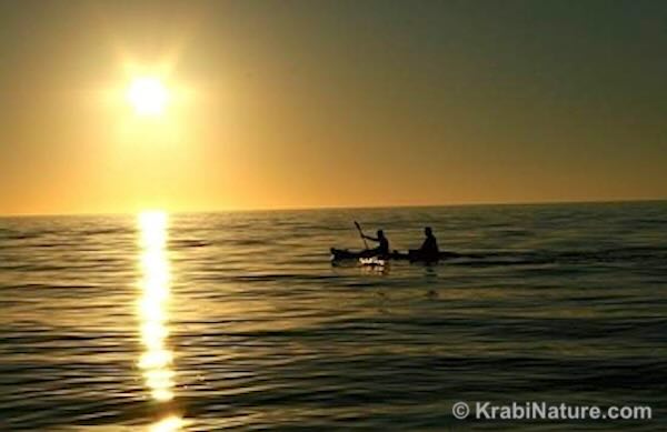 Kayakers in Krabi on the Andaman Sea. © KrabiNature.com