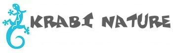 Krabi Nature logo of turquoise gecko and business title.