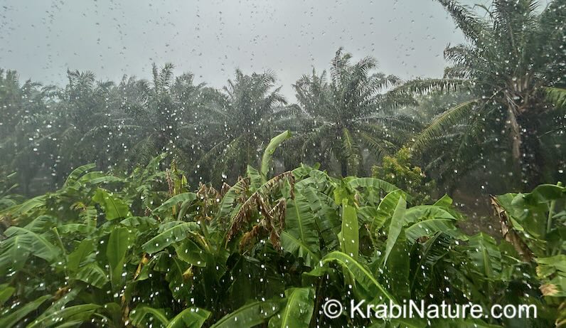Raining hard in Krabi in September.