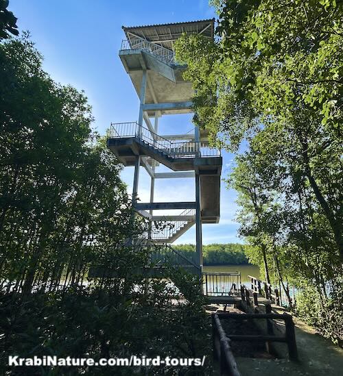 5-story high lookout tower and viewpoint over the Krabi River from the Krabi Urban Forest Walkway.