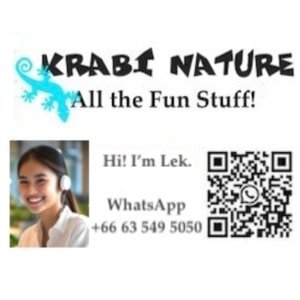 Krabi Nature Tours logo