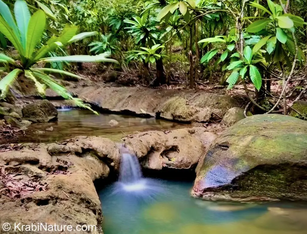 Freshwater stream flowing down mountain at Ngon Nak Mountain Trail and viewpoints in Tub Kaak.