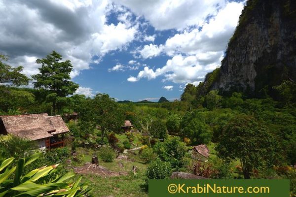 Wilderness resort in Krabi Noi near Krabi Town, Phanom Bencha Mountain Resort.