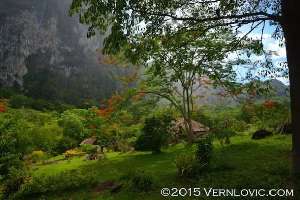 Open grounds of Phanom Bencha Mountain Resort in Krabi Noi subdistrict of Krabi.