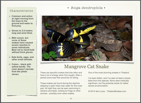 Mangrove Cat Snake entry in snake book about Krabi, and Thailand.