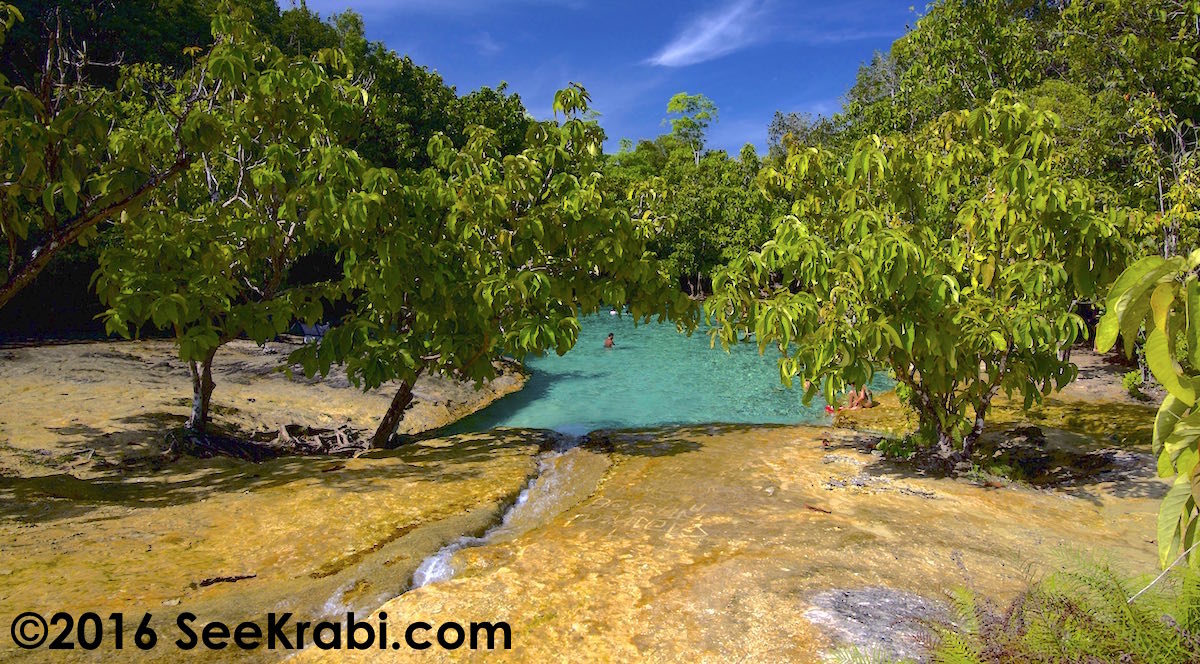 Emerald Pool aka: Sra Morakot Pool in Khlong Tom, Krabi Province, Thailand.