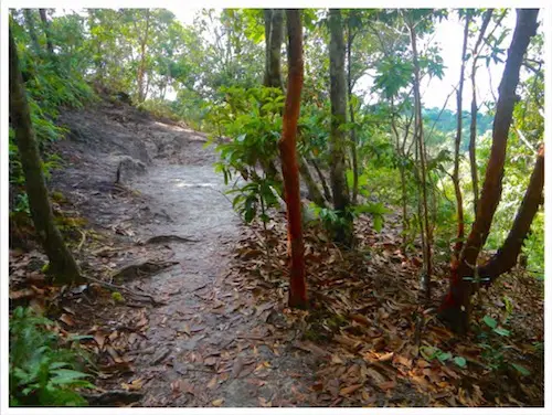 Almost to first viewpoint at Ngorn Nak Mountain in Tub Kaak, Krabi, Thailand.