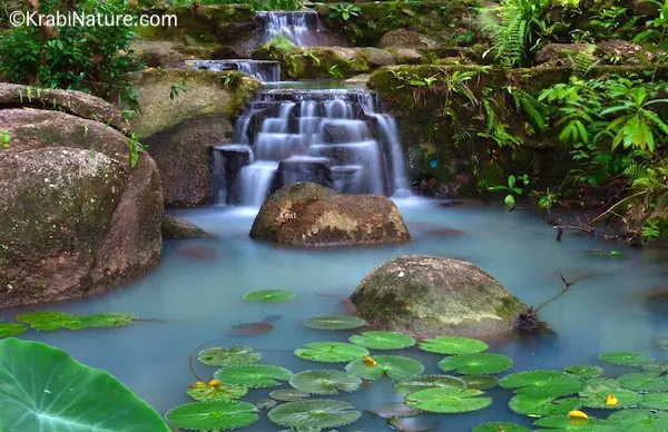 Stream flowing at mountain bungalows in Krabi.