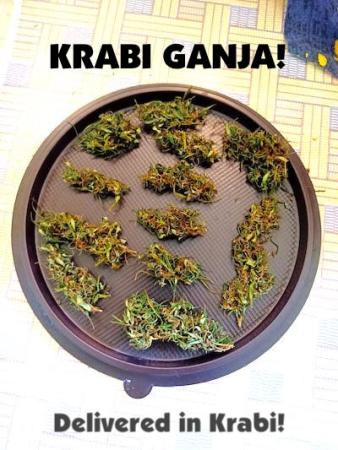 Krabi marijuana delivery in town and Ao Nang.