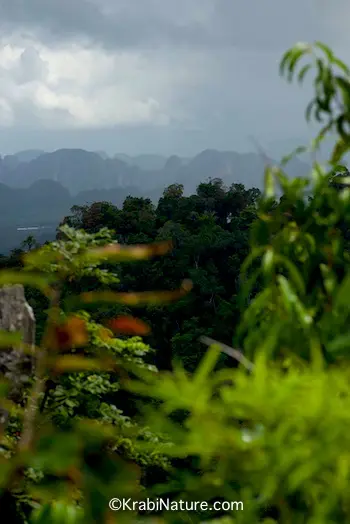The view from Tiger Cave Temple in Krabi Town looking toward limestone karst formations further west. © KrabiNature.com