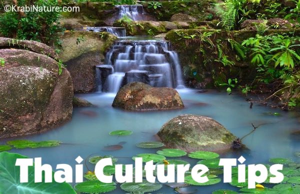 Culture tips for visitors to Krabi, Thailand and anywhere in the country.