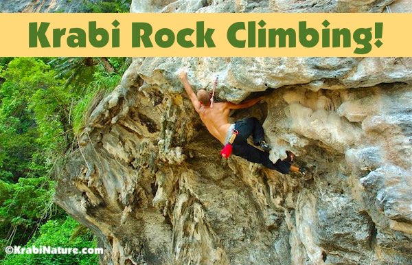 Rock Climbing at Railay Beach Krabi