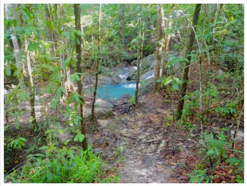 Ngorn Nak Trail freshwater stream.