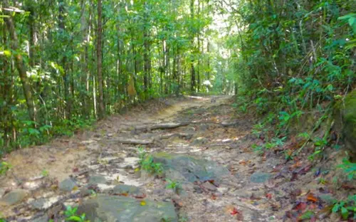 Trail at Ngorn Nak Mountain in Tub Kaak, Krabi, Thailand.