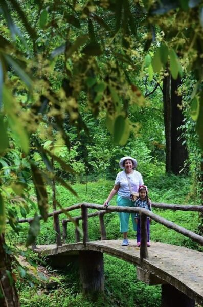 Tourists at Huay To Waterfall bridge in stunning scenery.