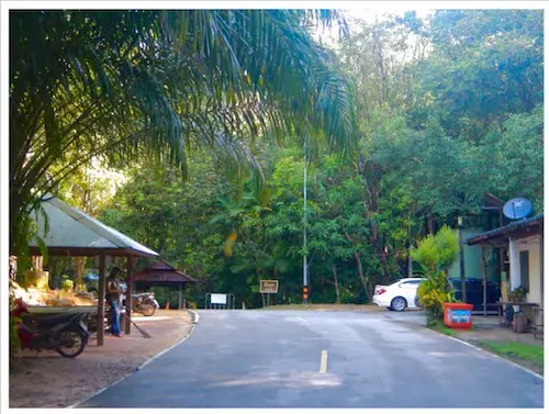 Parking area at bottom of Ngorn Nak Trail.