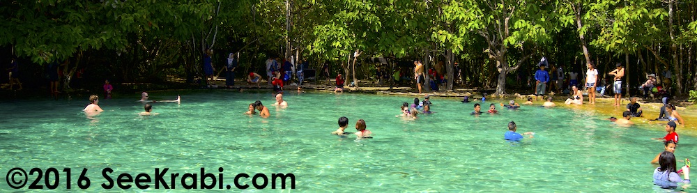 Emerald Pool (Sra Morakot) Freshwater Spring-fed Pool in Krabi, Thailand. The water is cool and is one of the top things to do in Krabi.